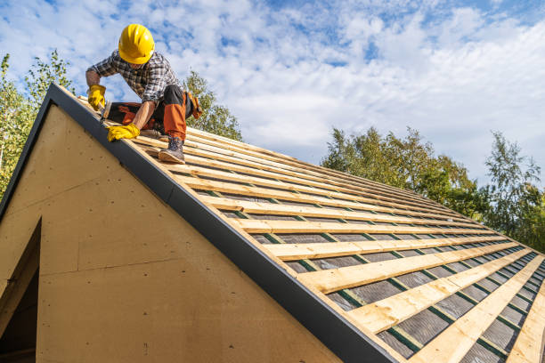 Best Roof Gutter Cleaning  in Helena, MT